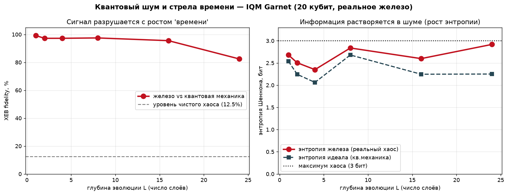 XEB fidelity decay and entropy growth on IQM Garnet